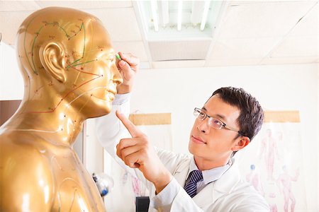 chinese medicine doctor point  acupoint on human model Stock Photo - Budget Royalty-Free & Subscription, Code: 400-07429098