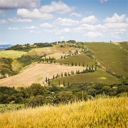 perseomedusa (artist) - Tuscany, Italy. Famous La Foce street, landmark of Tuscan country. Stock Photo - Budget Royalty-Free & Subscription, Code: 400-07429811