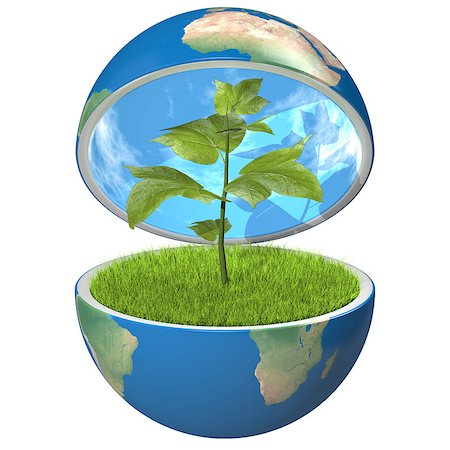 simsearch:400-05730088,k - Small plant growing inside opened planet Earth, isolated on white background, concept of ecology, symbol of new life. Elements of this image furnished by NASA Stock Photo - Budget Royalty-Free & Subscription, Code: 400-07421848