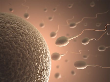 A lot of sperms going to the ovule. Image concept of fecundation. Stock Photo - Budget Royalty-Free & Subscription, Code: 400-07423088