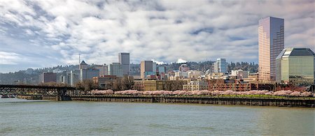 simsearch:400-07424733,k - Cherry Blossom Trees Blooming in Spring Season Along Portland Oregon Downtown Waterfront with City Skyline Panorama Stock Photo - Budget Royalty-Free & Subscription, Code: 400-07449834