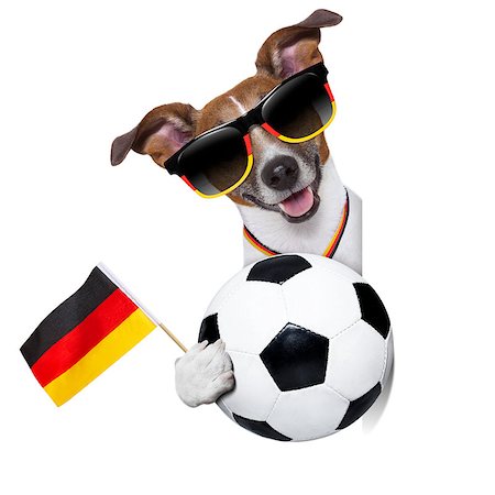 flag german ball - fifa world cup  brazil dog  with soccer ball Stock Photo - Budget Royalty-Free & Subscription, Code: 400-07463032