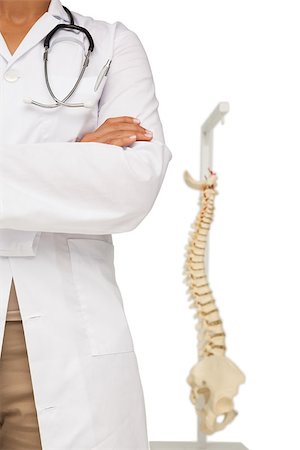 skeletal women in medicine - Close-up mid section of a female doctor with skeleton model over white background Stock Photo - Budget Royalty-Free & Subscription, Code: 400-07476221