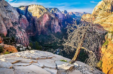 simsearch:400-07823385,k - Scenic view of mountain valley from Angels Landing, Zion, Utah, USA Stock Photo - Budget Royalty-Free & Subscription, Code: 400-07479927