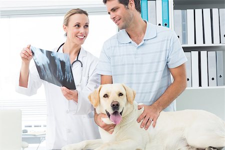 dog x-ray - Female veterinarian and pet owner discussing Xray of dog in clinic Stock Photo - Budget Royalty-Free & Subscription, Code: 400-07473606