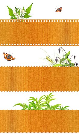 simsearch:400-06069768,k - Collection of nature banners. Isolated on white background Stock Photo - Budget Royalty-Free & Subscription, Code: 400-07509391