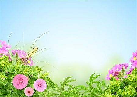 simsearch:400-06069768,k - Summer frame with green leaves, flowers and insect Stock Photo - Budget Royalty-Free & Subscription, Code: 400-07509392