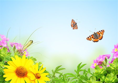 simsearch:400-06069768,k - Summer frame with green leaves, flowers and insects Stock Photo - Budget Royalty-Free & Subscription, Code: 400-07509393