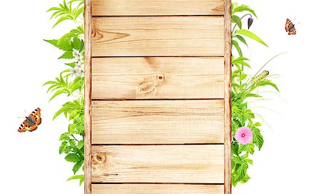 simsearch:400-06069768,k - Summer frame with green leaves, flowers and insects. Isolated on white background Stock Photo - Budget Royalty-Free & Subscription, Code: 400-07502118