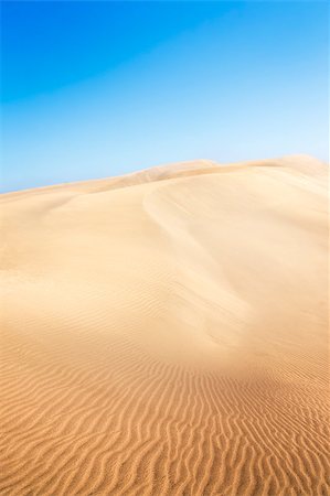 Sand dunes on the beach in Maspalomas. Blue sky. Stock Photo - Budget Royalty-Free & Subscription, Code: 400-07516303