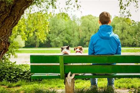 owner sitting with two dogs on a green bank relaxing Stock Photo - Budget Royalty-Free & Subscription, Code: 400-07516463