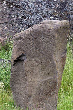 Native Anerican Indians Scorpion Petrogylph on Rock Artwork at Horsethief Lake Washington Stock Photo - Budget Royalty-Free & Subscription, Code: 400-07517158