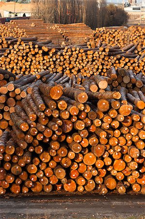 sawmill wood industry - Wood already taken from the forest waits for transport Stock Photo - Budget Royalty-Free & Subscription, Code: 400-07544911