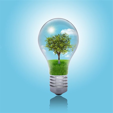 Trees, grass and sky in the light bulb. Concept of safe electricity Stock Photo - Budget Royalty-Free & Subscription, Code: 400-07550104