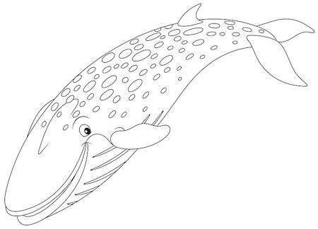 finback whale - blue rorqual diving, black and white outline vector illustration for a coloring book Stock Photo - Budget Royalty-Free & Subscription, Code: 400-07550621