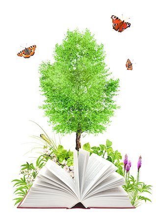 simsearch:400-06069768,k - Book of nature. Isolated on white background Stock Photo - Budget Royalty-Free & Subscription, Code: 400-07551706