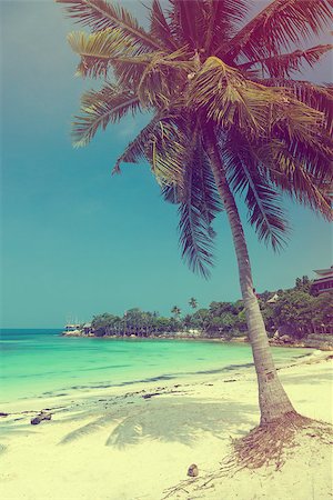 simsearch:400-07553490,k - Beautiful tropical beach with coconut palm and white sand, vintage summer Stock Photo - Budget Royalty-Free & Subscription, Code: 400-07553508