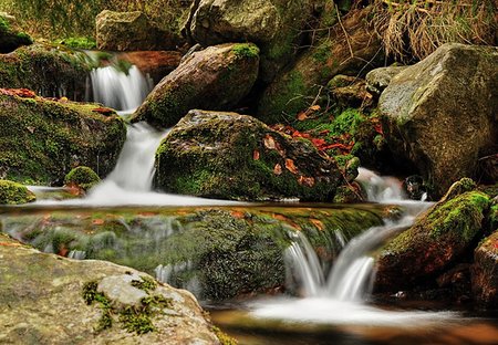 simsearch:400-05890122,k - Spring creek flowing in the channel with moss Stock Photo - Budget Royalty-Free & Subscription, Code: 400-07569208