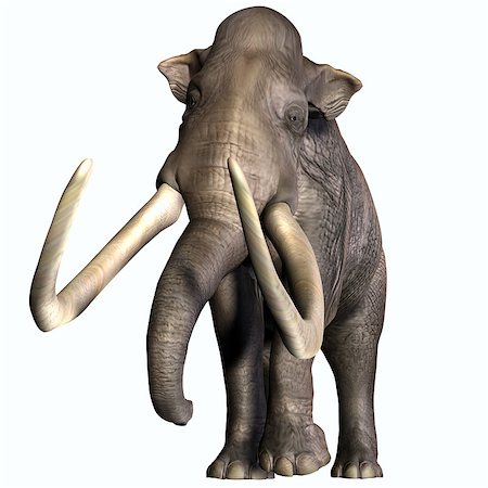 The Columbian Mammoth lived during the Quaternary Period of North and Middle America. Stock Photo - Budget Royalty-Free & Subscription, Code: 400-07578280