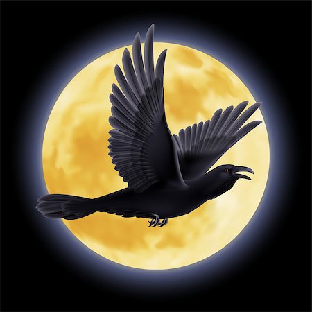 flying bird outline pic - Black crow fly on the background of a full moon night Stock Photo - Budget Royalty-Free & Subscription, Code: 400-07579514