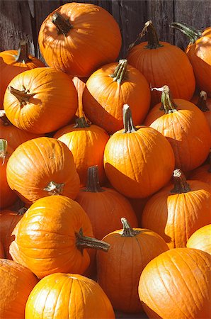 A pile of pumpkins Stock Photo - Budget Royalty-Free & Subscription, Code: 400-07579681