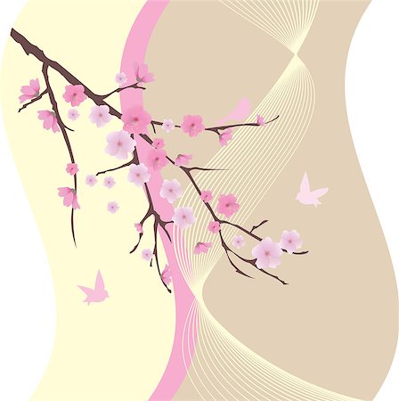 simsearch:400-04882926,k - vector blossom branches with birds Stock Photo - Budget Royalty-Free & Subscription, Code: 400-07571196