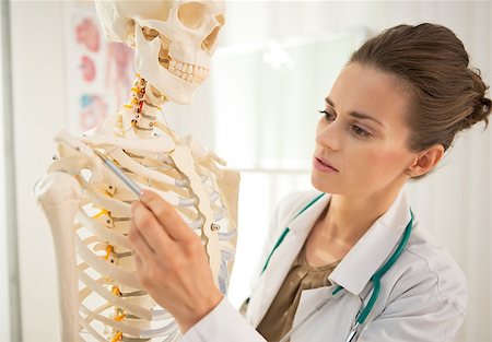 professor (female) - Medical doctor woman teaching anatomy using human skeleton model Stock Photo - Budget Royalty-Free & Subscription, Code: 400-07572092