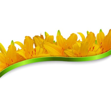 Yellow Lilies Border With Green Ribbon, With Gradient Mesh, Vector Illustration Stock Photo - Budget Royalty-Free & Subscription, Code: 400-07572265