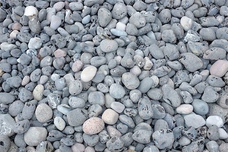 simsearch:400-04114367,k - Close up of lots of pebbles at the beach Stock Photo - Budget Royalty-Free & Subscription, Code: 400-07572900