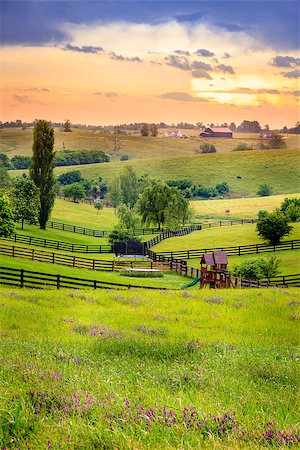 Beautiful evening scene in Kentucky's Bluegrass region Stock Photo - Budget Royalty-Free & Subscription, Code: 400-07580665