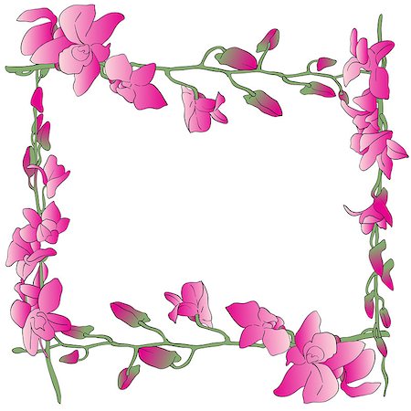 simsearch:400-05685192,k - Hand drawn illustration of a greetings card or cover with long orchids frame over white Stock Photo - Budget Royalty-Free & Subscription, Code: 400-07614117