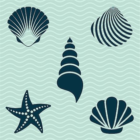 simsearch:400-06857057,k - Set of various sea shells and starfish silhouettes Stock Photo - Budget Royalty-Free & Subscription, Code: 400-07616045