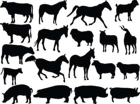 illustration of farm animals - vector Stock Photo - Budget Royalty-Free & Subscription, Code: 400-07616395
