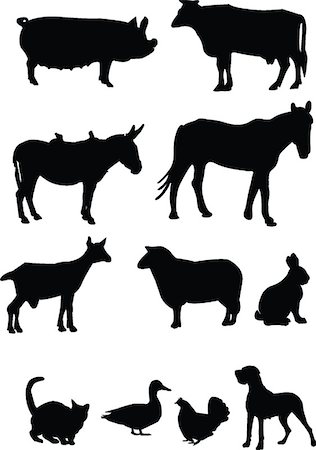 illustration of farm animals - vector Stock Photo - Budget Royalty-Free & Subscription, Code: 400-07616392