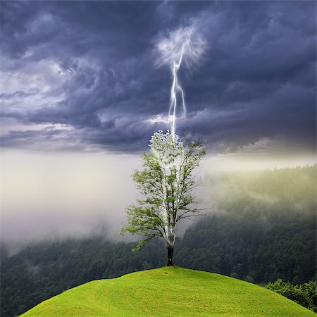 exploding electricity - Tree on the hill struck by lightning from dark sky. Stock Photo - Budget Royalty-Free & Subscription, Code: 400-07624953