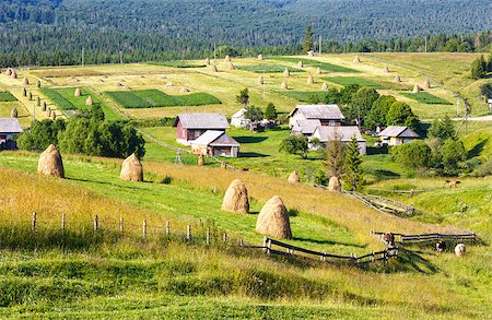 simsearch:400-05719580,k - Summer mountain village outskirts with haystacks on field (Carpathian, Ukraine) Photographie de stock - Aubaine LD & Abonnement, Code: 400-07626348