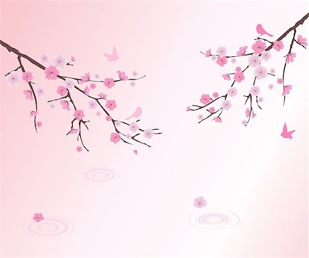 design patterns with cherry blossom flowers - vector cherry blossom with birds Stock Photo - Budget Royalty-Free & Subscription, Code: 400-07627704