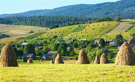 simsearch:400-05719580,k - Summer mountain village outskirts with haystacks on field (Carpathian, Ukraine) Photographie de stock - Aubaine LD & Abonnement, Code: 400-07620073