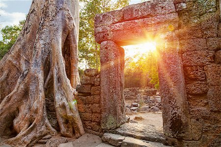 root ruin - Ruins of Cambodian temple at sunset Stock Photo - Budget Royalty-Free & Subscription, Code: 400-07634221