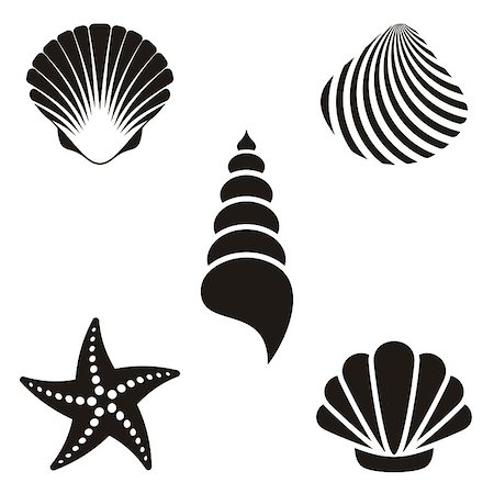 simsearch:400-06857057,k - Set of various black sea shells and starfish Stock Photo - Budget Royalty-Free & Subscription, Code: 400-07630865