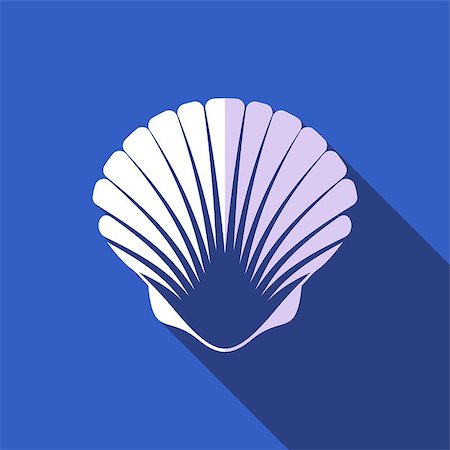 simsearch:400-08646884,k - White scallop seashell on blue background flat design Stock Photo - Budget Royalty-Free & Subscription, Code: 400-07630872
