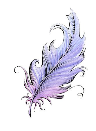Feather. Watercolor illustration on the white background Stock Photo - Budget Royalty-Free & Subscription, Code: 400-07632005