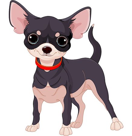 small picture of a cartoon of a person being young - Cute dog of breed Chihuahua Stock Photo - Budget Royalty-Free & Subscription, Code: 400-07632222