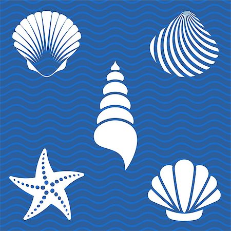 simsearch:400-08646884,k - Set of white sea shells and starfish silhouettes Stock Photo - Budget Royalty-Free & Subscription, Code: 400-07633537