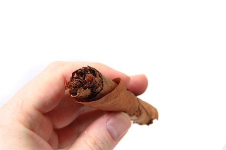simsearch:400-05207678,k - old cigar in human hand isolated on the white background Stock Photo - Budget Royalty-Free & Subscription, Code: 400-07659591