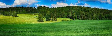 simsearch:400-03991406,k - HDR summer landscape with fields, forests, blue sky with clouds Stock Photo - Budget Royalty-Free & Subscription, Code: 400-07660229