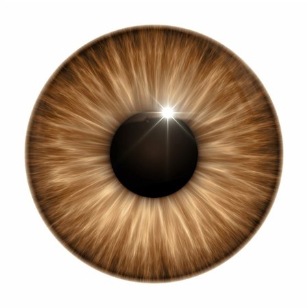 simsearch:400-04751617,k - An image of a nice brown eye texture Stock Photo - Budget Royalty-Free & Subscription, Code: 400-07660844