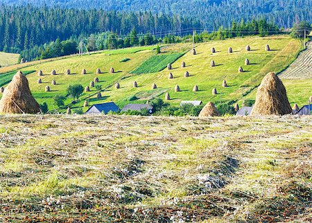 simsearch:400-05719580,k - Summer mountain village outskirts with haystacks on field (Carpathian, Ukraine) Photographie de stock - Aubaine LD & Abonnement, Code: 400-07661015