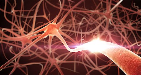 3D render of Neurons Network. Shallow Depth of Fields. Stock Photo - Budget Royalty-Free & Subscription, Code: 400-07661144