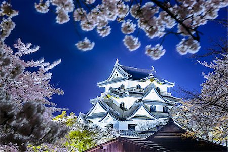 simsearch:400-06640469,k - Hikone Castle during the spring season in Hikone, Japan. Stock Photo - Budget Royalty-Free & Subscription, Code: 400-07661829